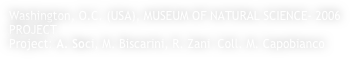 Washington, O.C. (USA), MUSEUM OF NATURAL SCIENCE- 2006
PROJECT
Project: A. Soci, M. Biscarini, R. Zani  Coll. M. Capobianco
