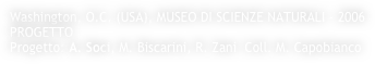 Washington, O.C. (USA), MUSEO DI SCIENZE NATURALI - 2006
PROGETTO
Progetto: A. Soci, M. Biscarini, R. Zani  Coll. M. Capobianco